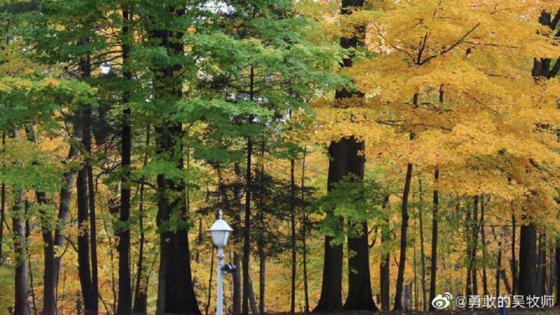 抖音涨双击秒涨在线最低：速学实用高效涨粉技巧